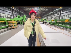 AISIは6mmシートのメスのはさみのためのステンレス鋼の440c鋼板を冷間圧延した